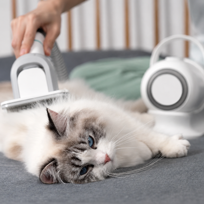PetGroom Pro Vacuum System